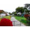 公園