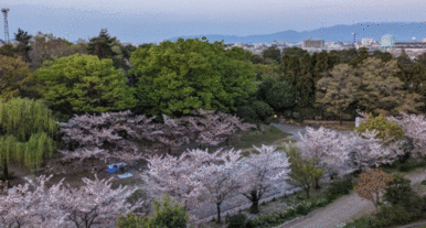 梅小路公園