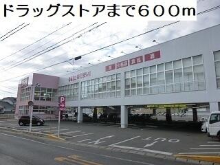 コスモス