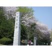 大学
