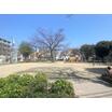公園