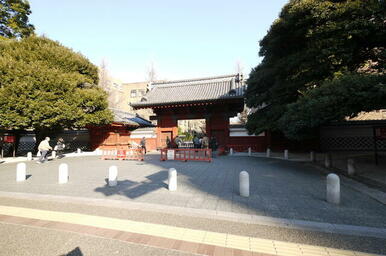 国立東京大学