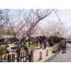 公園