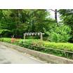 公園