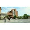 大学