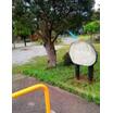 公園