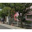 幼稚園、保育園