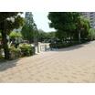 公園