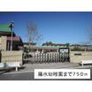 幼稚園、保育園