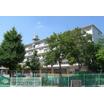 幼稚園、保育園
