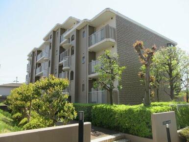 エントランス側　※現況優先