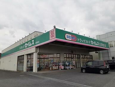 ドラッグストアセイムス北羽生店