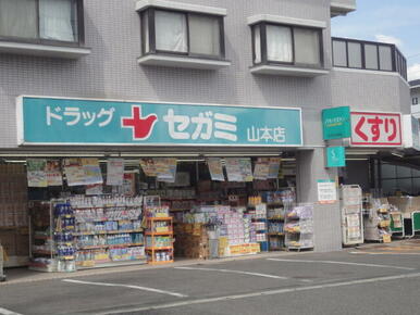 セガミ薬品山本店