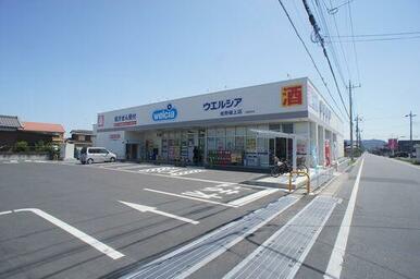ウエルシア佐野植上店まで車で２分（７５０ｍ）