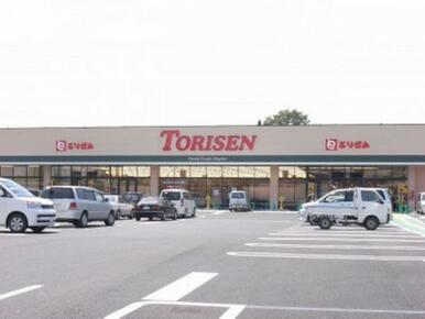 とりせん細谷店　1230ｍ/徒歩16分、車4分