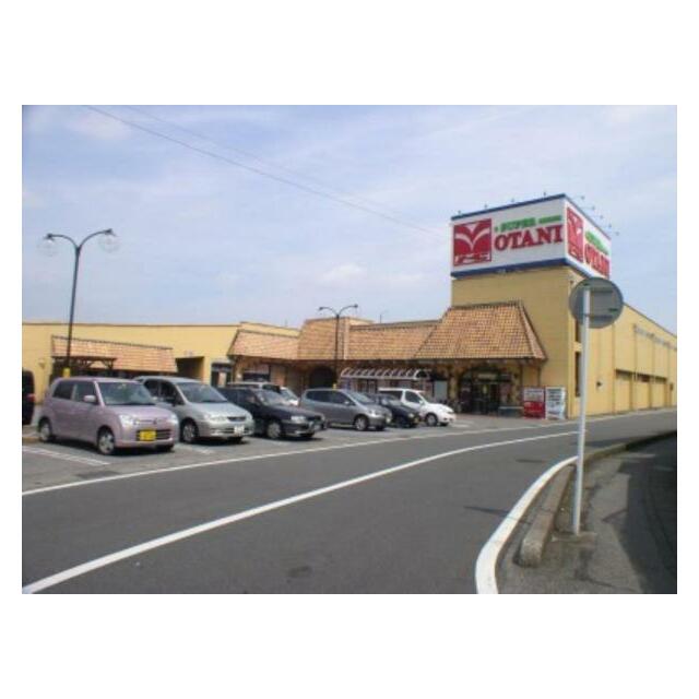 オータニ野沢店　1047ｍ/徒歩14分、車3分