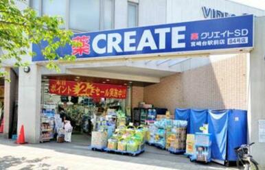 クリエイトエス・ディー川崎宮崎台駅前店
