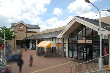 スーパーマツモト大原野店