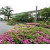 公園