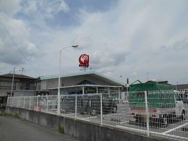 コメリハード＆グリーン市原古市