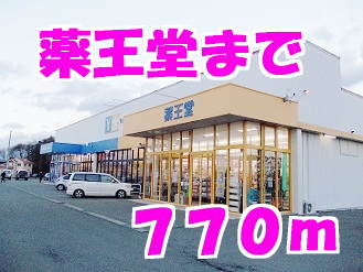 薬王堂