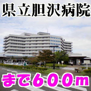 胆沢病院
