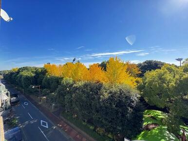 バルコニーからの眺望