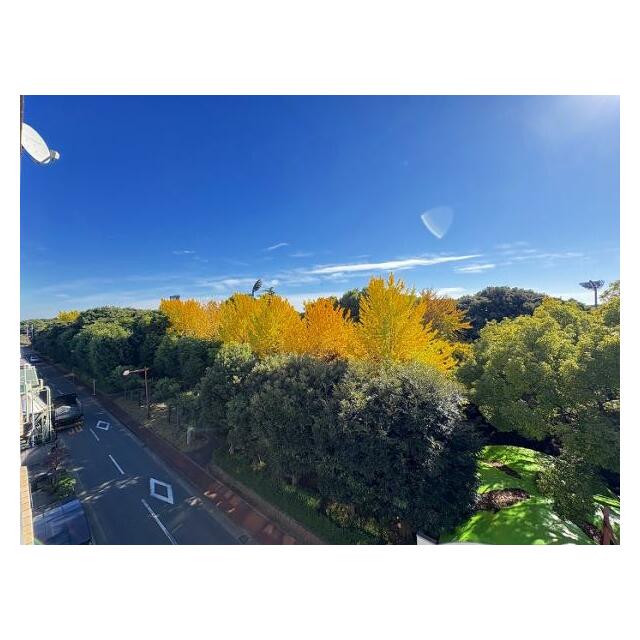 バルコニーからの眺望