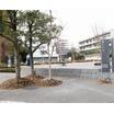大学