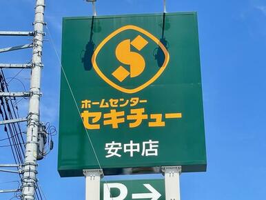 セキチュー安中店　１，３１６ｍ