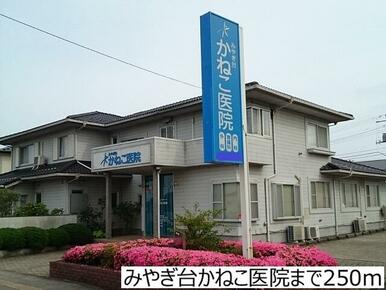 みやぎ台かねこ医院