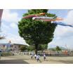 幼稚園、保育園