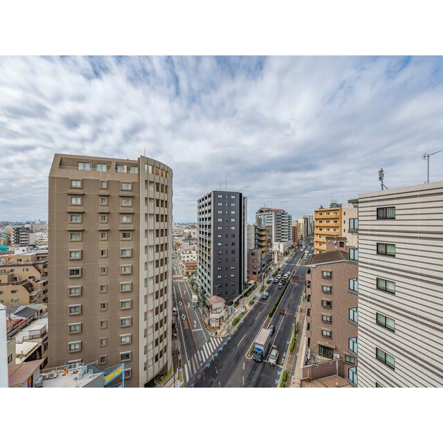 2026年2月撮影