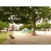 公園