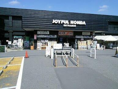 ジョイフル本田 八千代店