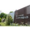 大学