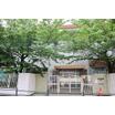 幼稚園、保育園
