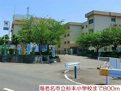 杉本小学校