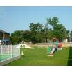 幼稚園、保育園