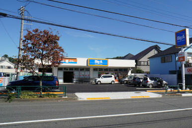 ビッグ・エー町田広袴店