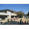 幼稚園、保育園