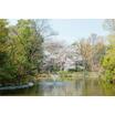 公園