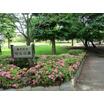 公園