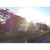 公園