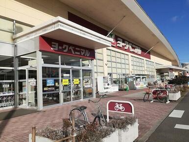 ヨークベニマル新田東店