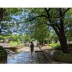 公園