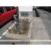 共有部分