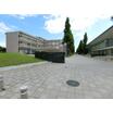 大学