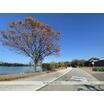 周辺環境