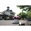 幼稚園、保育園